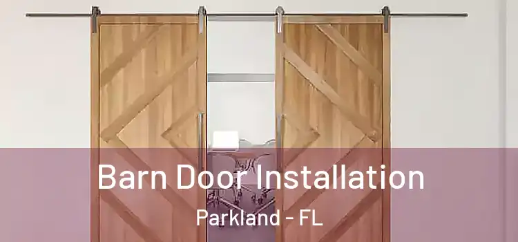  Barn Door Installation Parkland - FL
