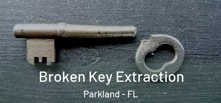  Broken Key Extraction Parkland - FL