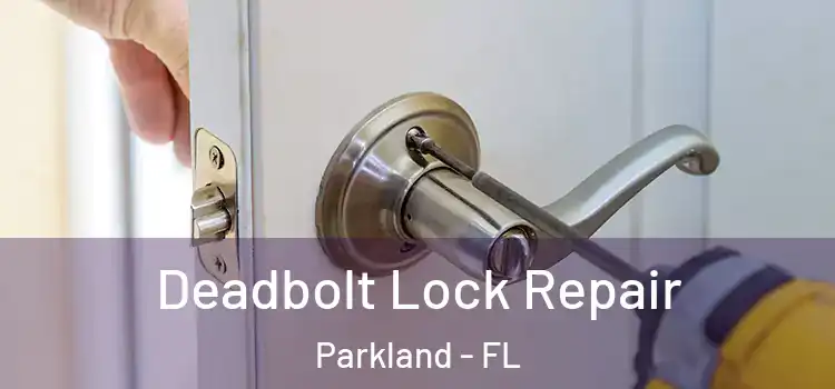 Deadbolt Lock Repair Parkland - FL