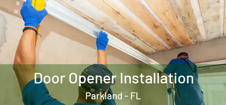 Door Opener Installation Parkland - FL