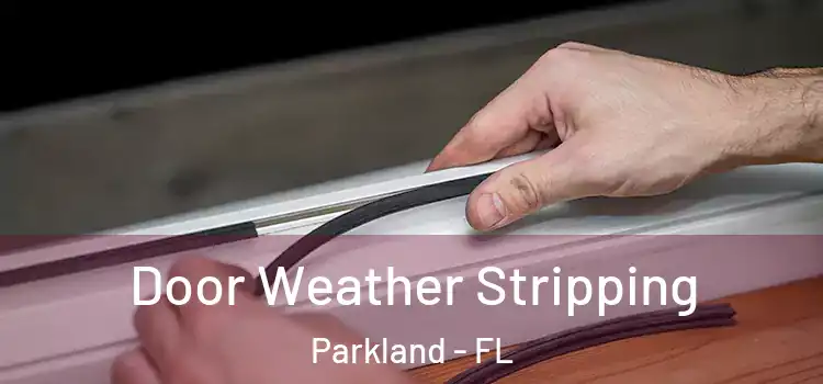Door Weather Stripping Parkland - FL