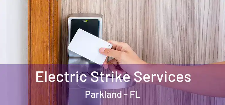 Electric Strike Services Parkland - FL
