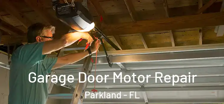  Garage Door Motor Repair Parkland - FL