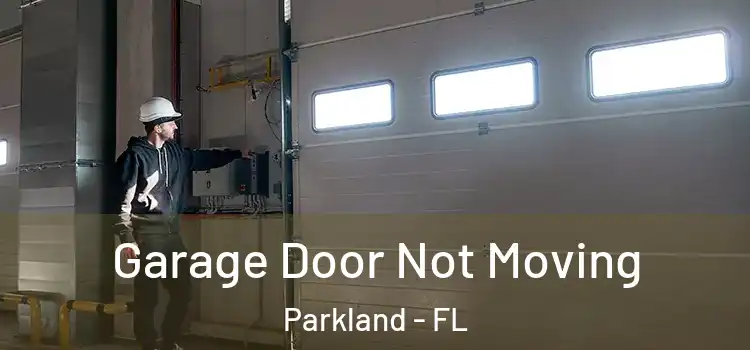  Garage Door Not Moving Parkland - FL