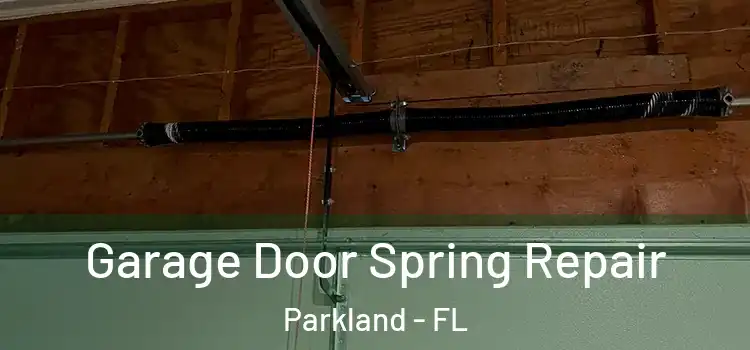  Garage Door Spring Repair Parkland - FL