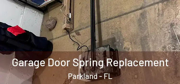  Garage Door Spring Replacement Parkland - FL