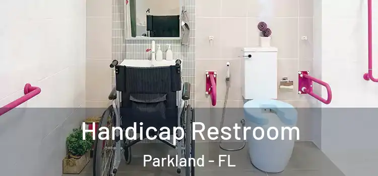 Handicap Restroom Parkland - FL