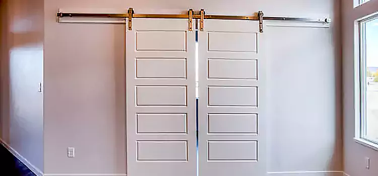 Glass Barn Door with Installation Hardware Kit Parkland