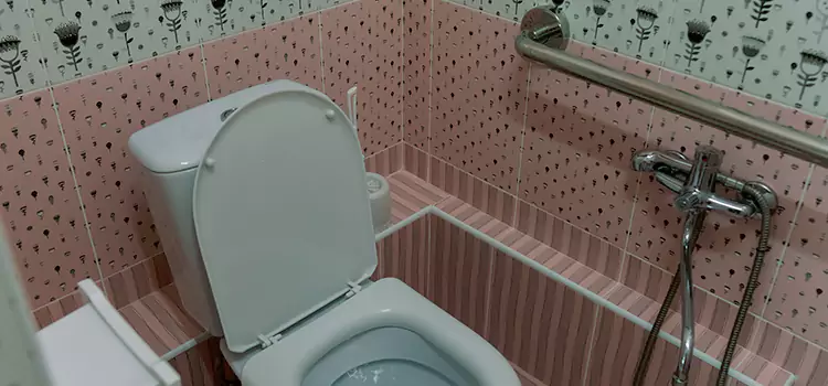 Meeting Diverse Needs With Accessible Restroom Solutions in Parkland, FL