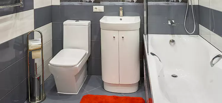 Hansgrohe Shaving Mirror Parkland