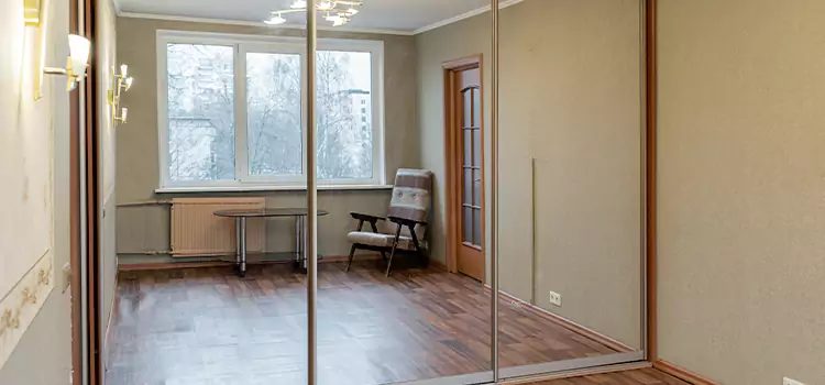 Mirror Closet Door Roller Replacement Parkland