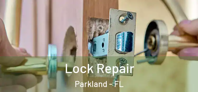 Lock Repair Parkland - FL