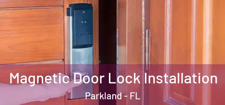  Magnetic Door Lock Installation Parkland - FL