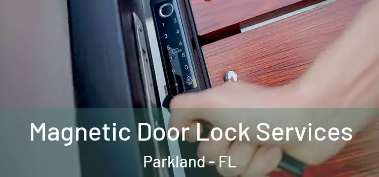 Magnetic Door Lock Services Parkland - FL