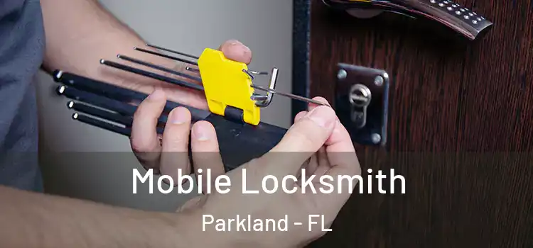 Mobile Locksmith Parkland - FL