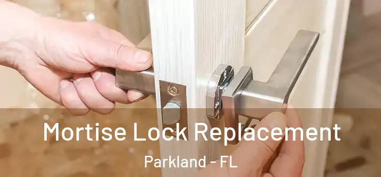  Mortise Lock Replacement Parkland - FL