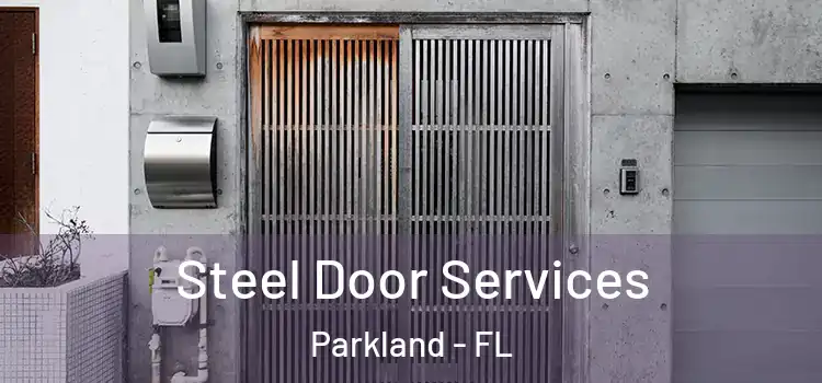  Steel Door Services Parkland - FL